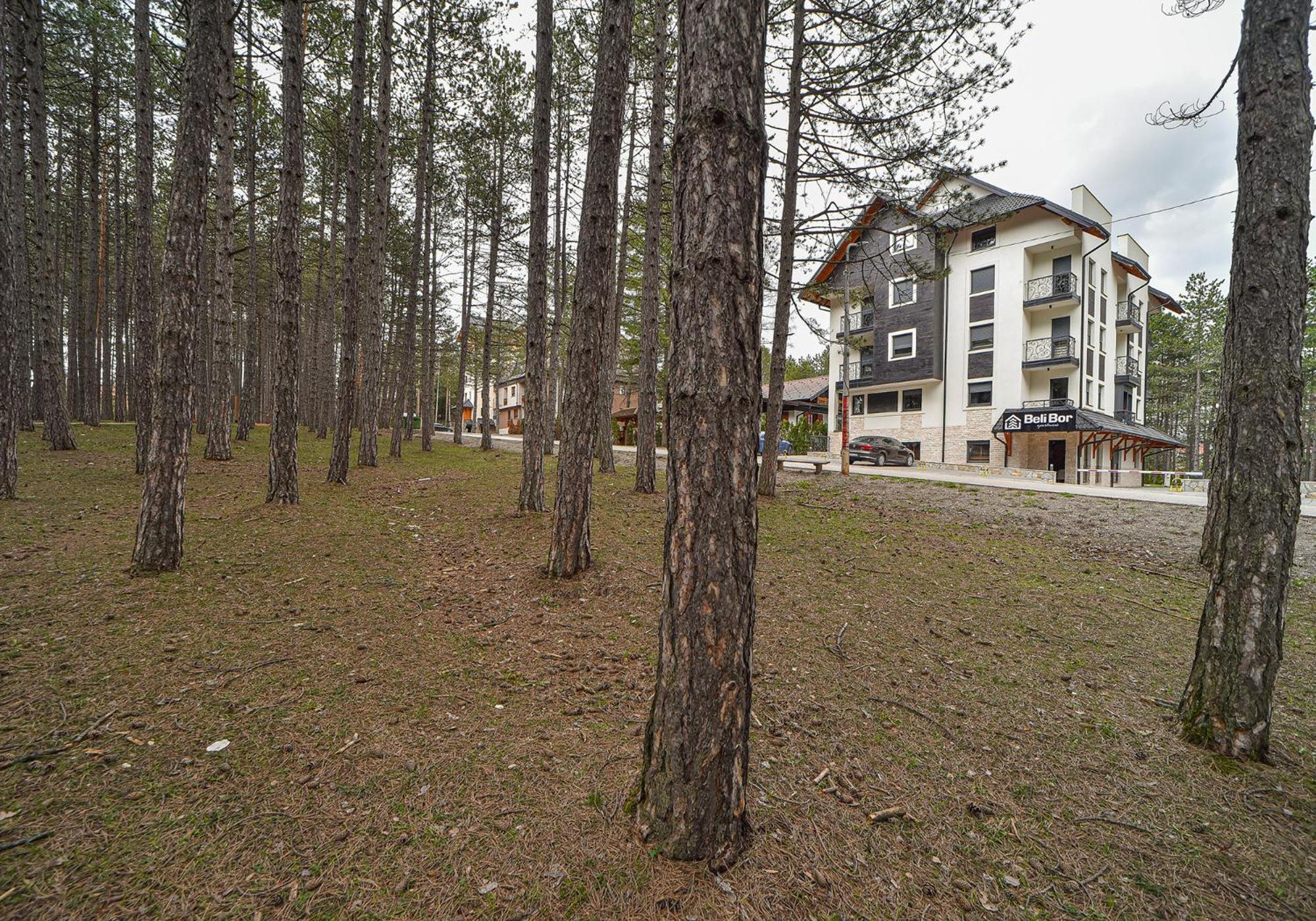 Aparthotel Beli Bor Zlatibor Zewnętrze zdjęcie